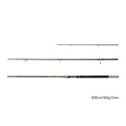 RIVER Trophy NXT 300cm/160g/3 díly + 4 špičky - Delphin 