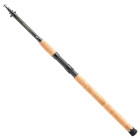 Daiwa Prut Megaforce Tele 3,60 m 20-60 g